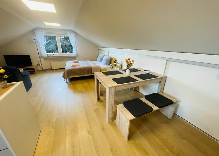 Daire Klimatisierte In Seenaehe Zulpich